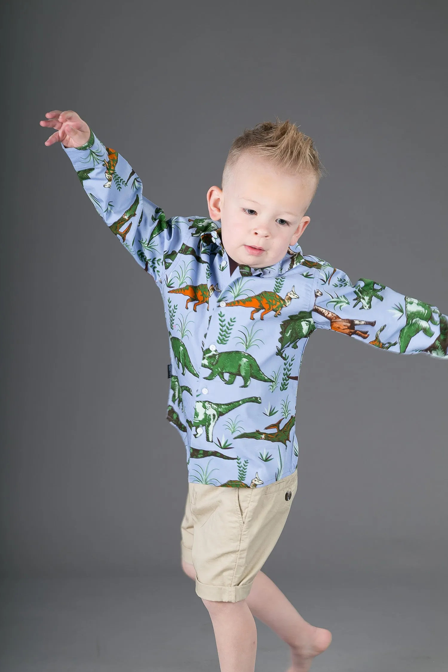 Boys Cotton Blue Dinosaurs Long Sleeve Shirt