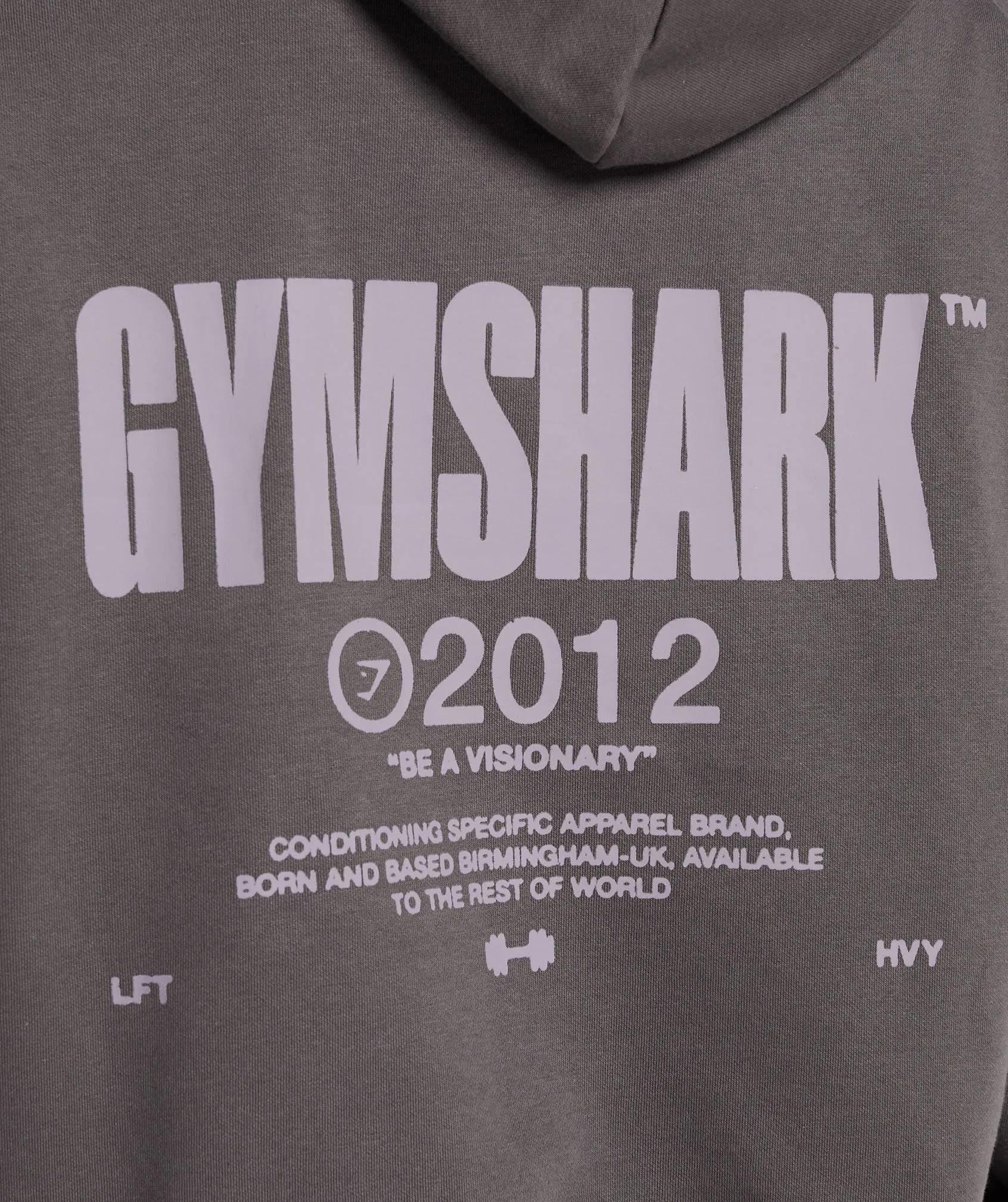 Gymshark Be a Visionary Oversized Hoodie - Greyed Purple