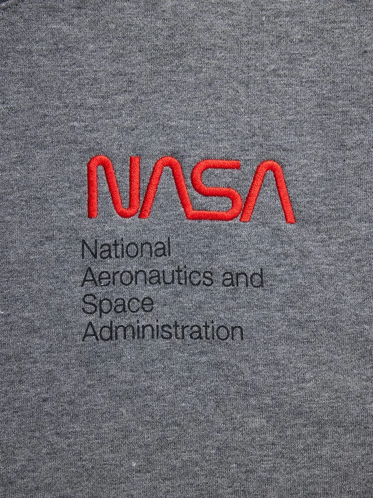 NASA WORM LOGO HOODIE